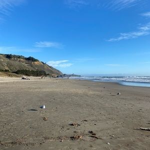 Meet your Posher, Violet